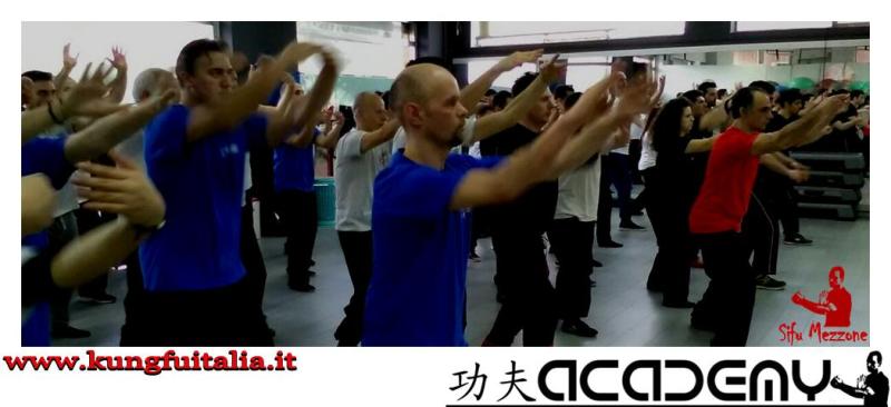 Stage di Wing Chun Kung Fu Frosinone Accademia di Wing Tjun Caserta Italia di Sifu Mezzone (28)